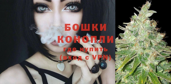 твердый Володарск
