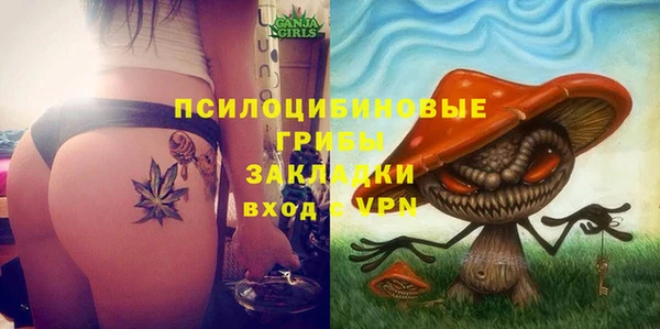 твердый Володарск